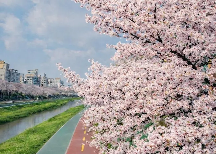 루미홈 홍대입구15분 신축 엘리베이터 Apartamento